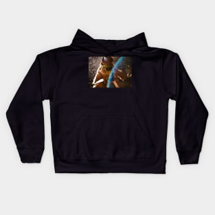 Raphael In Disguise Kids Hoodie